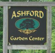 Ashford Pollinator Pathway News, April&nbsp;2024