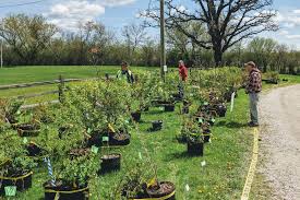 Ashford Pollinator Pathway News, September&nbsp;2023