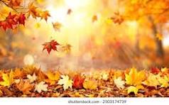 Ashford Pollinator Pathway News, October&nbsp;2022