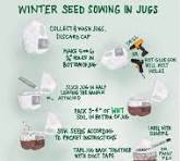 Ashford Pollinator Pathway News, December&nbsp;2022