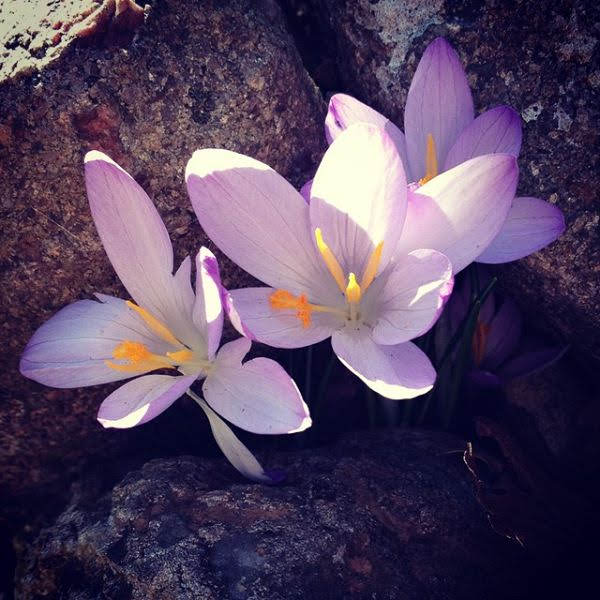 Let sleeping bugs&nbsp;lie