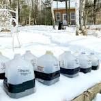 Ashford Pollinator Pathway News, December&nbsp;2025