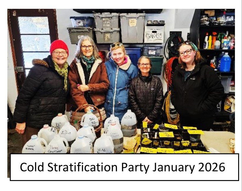 Ashford Pollinator Pathway News, April&nbsp;2026